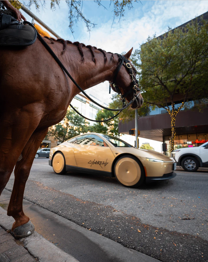 Cybercab vs Horse in Austin-Texas